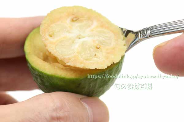 フェイジョア（Feijoa）