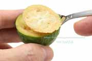 フェイジョア(Feijoa) フェイジョア(Feijoa)