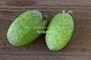 フェイジョア（Feijoa）