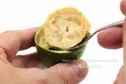 フェイジョア(Feijoa) フェイジョア(Feijoa)