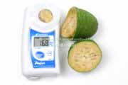 フェイジョア(Feijoa)の糖度 フェイジョア(Feijoa)の糖度