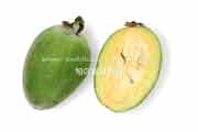 フェイジョア(Feijoa) フェイジョア(Feijoa)