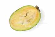フェイジョア(Feijoa) フェイジョア(Feijoa)