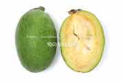 フェイジョア(Feijoa) フェイジョア(Feijoa)