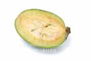 フェイジョア(Feijoa) フェイジョア(Feijoa)