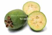 フェイジョア（Feijoa）