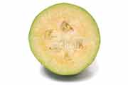 フェイジョア(Feijoa) フェイジョア(Feijoa)