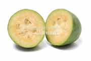 フェイジョア(Feijoa) フェイジョア(Feijoa)