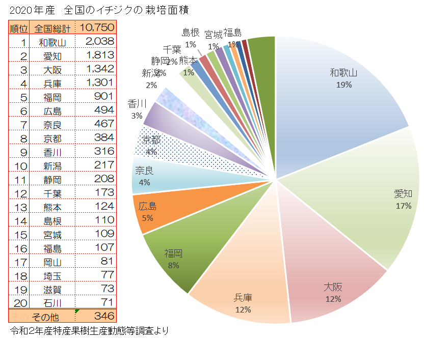 イチジクの主な産地と収穫量