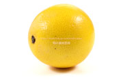 ジャクソンフルーツ　Jackson Low Seeded (LS) grapefruit