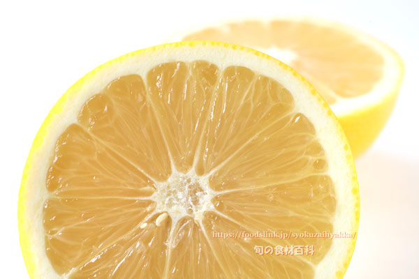 ジャクソンフルーツの断面と果肉　Jackson Low Seeded (LS) grapefruit
