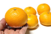 ひめのつき／ヒメノツキ　柑橘　みかん