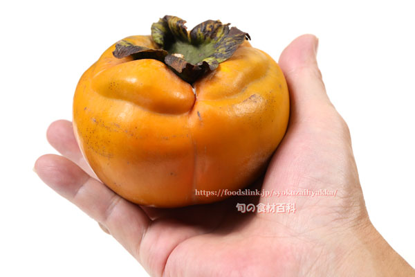 御代柿(みだいがき) 御代柿,みだいがき,みよがき