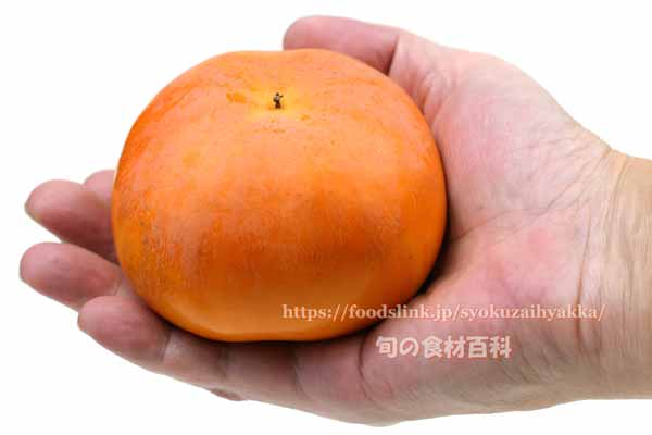 ねおスイート,岐阜県の柿 ねおスイート,甘柿,岐阜県オリジナル