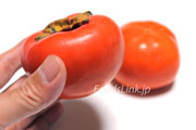 陽豊柿（ようほうがき）　柿　かき