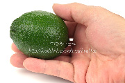 メキシコ産のライム（Lime）の写真