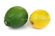 ライム（Lime）　メキシコ産と和歌山県産の写真