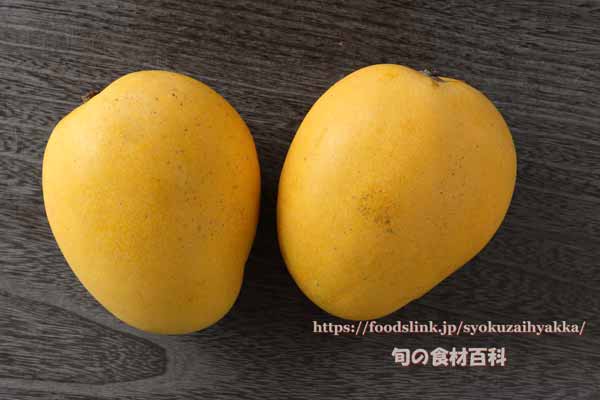 金蜜 マンゴー 金蜜 マンゴー