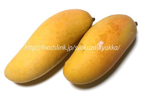 マハチャノ種タイマンゴー