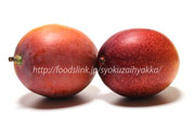 宮崎県産　アーウィン種完熟マンゴーとメキシコ産ケント種マンゴー