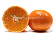 ノバオレンジ