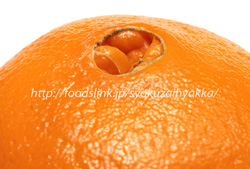 ネーブルオレンジのへそ