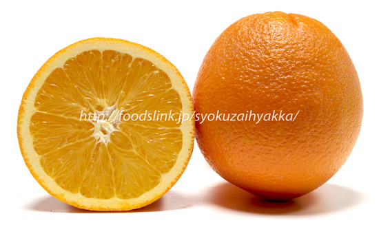 ネーブルオレンジ（Navel-orange）