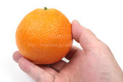 ピンキーオレンジ／カラカラ・ネーブルオレンジ