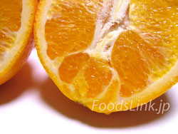 ネーブルオレンジ(Navel-orange) ネーブルオレンジ(Navel-orange)