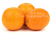 バレンシアオレンジ　Valencia orange