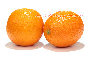 バレンシアオレンジ　Valencia orange