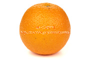 バレンシアオレンジ　Valencia orange