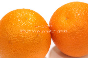 バレンシアオレンジ　Valencia orange