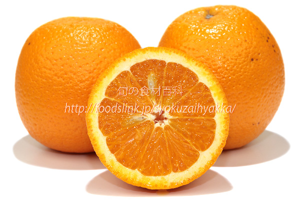 オレンジ　ネーブルオレンジ　ブラッドオレンジ