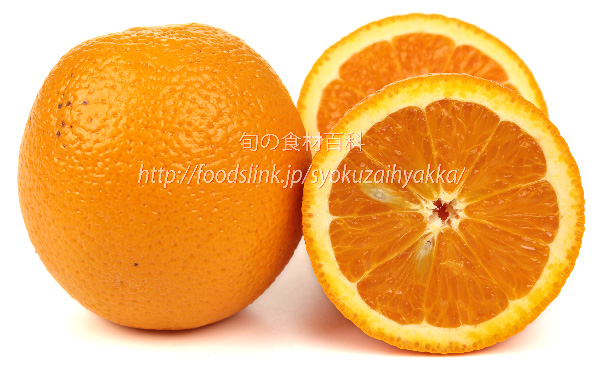 バレンシアオレンジの断面　Valencia orange
