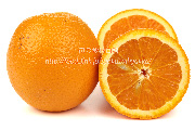 バレンシアオレンジの断面と果肉　Valencia orange