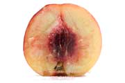 桃　玉うさぎの断面と果肉