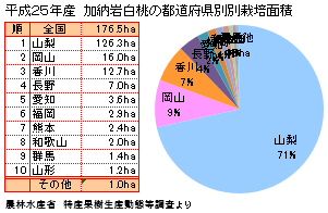 加納岩白桃の産地と生産量