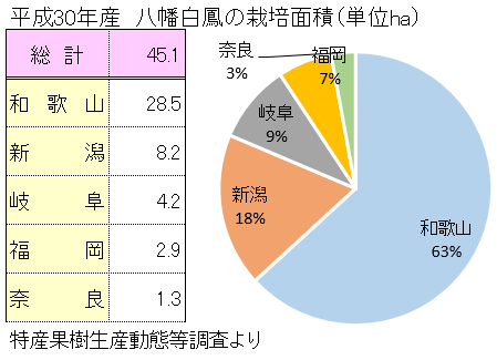 八幡白鳳の主な産地と栽培面積