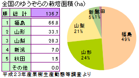 ゆうぞらの主な産地と栽培面積2011年