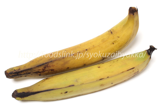 プランテイン／Plantain／クラレ／ツンドク＜調理用バナナ