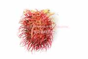 ランブータン,Rambutan