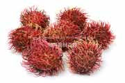 ランブータン,Rambutan