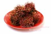 ランブータン,Rambutan