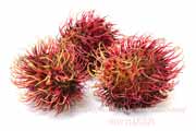 ランブータン,Rambutan