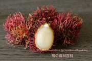 ランブータン,Rambutan