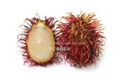 ランブータン,Rambutan