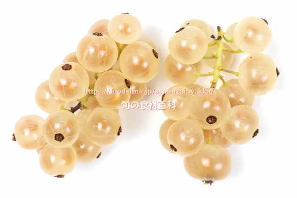 ホワイトカラント,白スグリ,White currant,Groseille 'Blanche de Versailles'