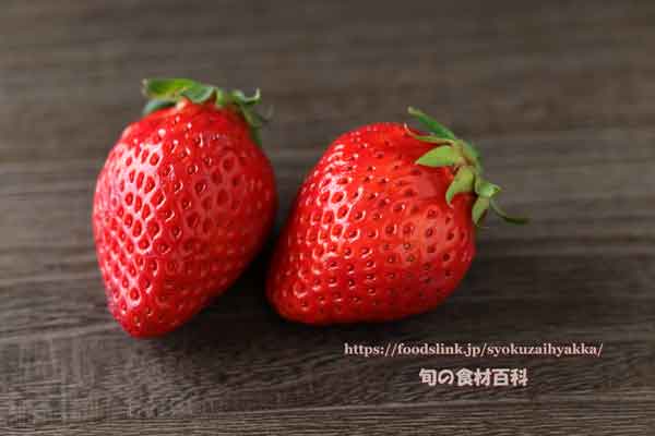 とっておき,いちご,イチゴ,鳥取県オリジナル品種