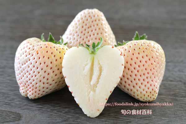 白いちご 雪うさぎ 雪うさぎ,YUKIUSAGI,ゆきうさぎ,さくらいちご,白イチゴ